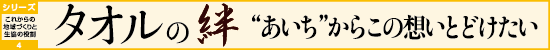 タオルの絆 “あいち”からこの想いとどけたい タオルの絆 “あいち”からこの想いとどけたい